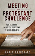 Meeting the Protestant Challenge - Paperback