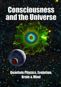 Consciousness and the Universe: Quantum Physics, Evolution, Brain & Mind - Paperback