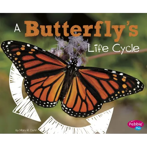 A Butterfly's Life Cycle - Paperback