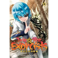 Twin Star Exorcists, Vol. 4: Onmyoji - Paperback