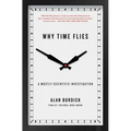 Why Time Flies - Paperback