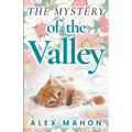 The Mystery Of The Valley - Paperback