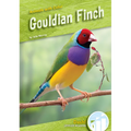 Gouldian Finch - Library Binding