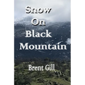 Snow on Black Mountain: The Scott Ranch Adventures - Book 2 - Paperback