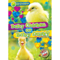 Baby Chicken or Baby Duck? - Paperback