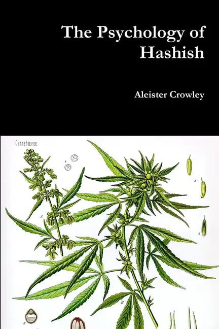 The Psychology of Hashish - Paperback