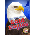 Bald Eagles - Library Binding