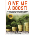 Give Me A Boost!: The Under-Resourced Entrepreneur's Handbook for Growing and Scaling Your Business - Paperback