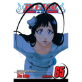 Bleach, Vol. 65 - Paperback