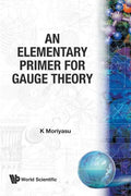 An Elementary Primer for Gauge Theory - Paperback