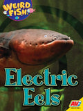 Electric Eels - Paperback