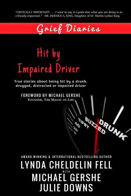 Grief Diaries: Hit by Impaired Driver - Paperback
