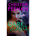 Dark Song - Paperback