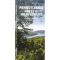 Pennsylvania Trees & Wildflowers: A Folding Pocket Guide to Familiar Plants - Hardcover