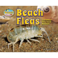 Beach Fleas and Other Tiny Sand Animals - Library Binding