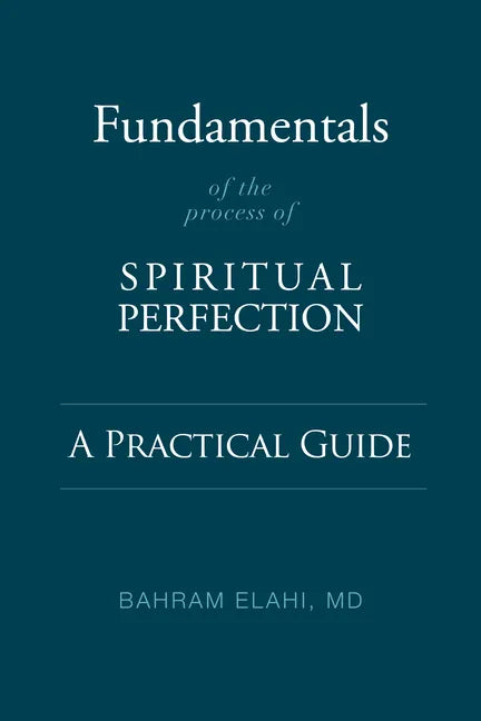 Fundamentals of the Process of Spiritual Perfection: A Practical Guide - Paperback