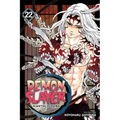 Demon Slayer: Kimetsu No Yaiba, Vol. 22 - Paperback