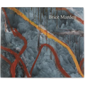 Brice Marden: Let the Painting Make You - Hardcover