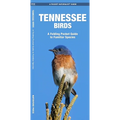 Tennessee Birds: A Folding Pocket Guide to Familiar Species
