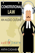 Constitutional Law AudioLearn - Paperback