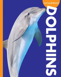 Curious about Dolphins - Paperback
