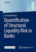 Quantification of Structural Liquidity Risk in Banks - Paperback