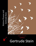 Matisse Picasso and Gertrude Stein - Paperback