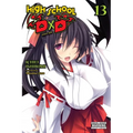 High School DXD, Vol. 13 (Light Novel): Volume 13 - Paperback