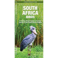 South Africa Birds: A Folding Pocket Guide to Familiar Species in the South African Region - Paperback