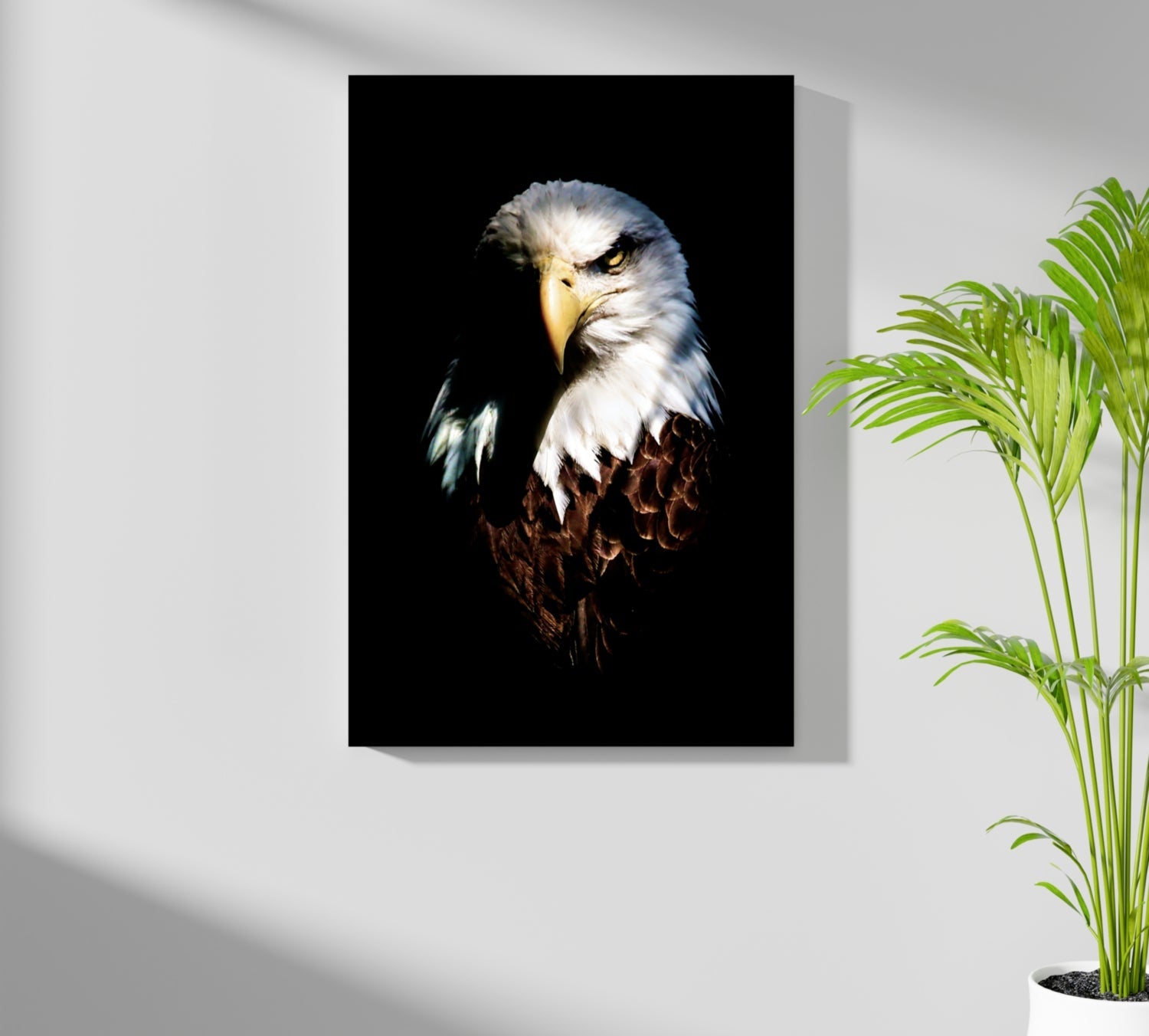 Eagle Aluminum Print