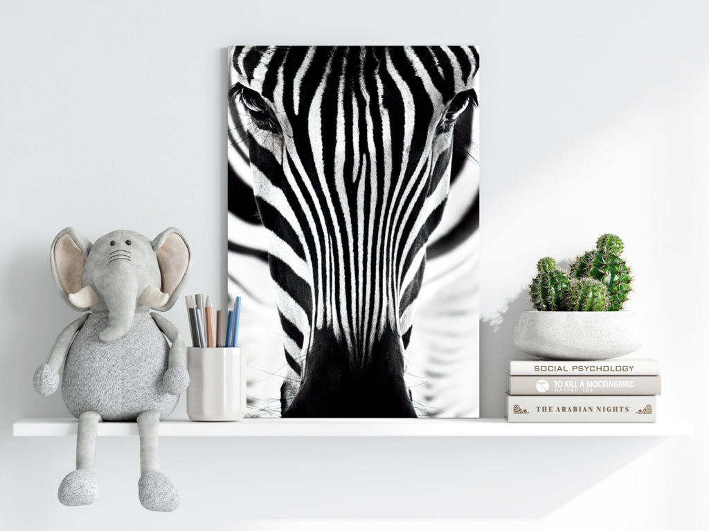 Zebra Portrait Aluminum Print