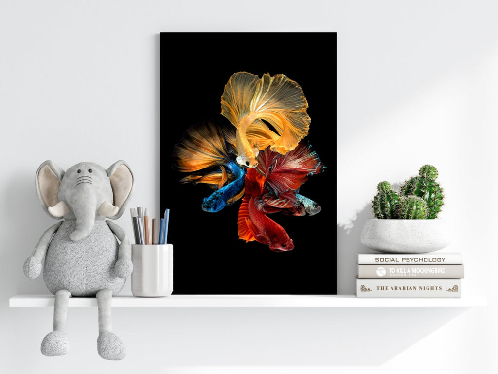 Betta Fishes Aluminum Print