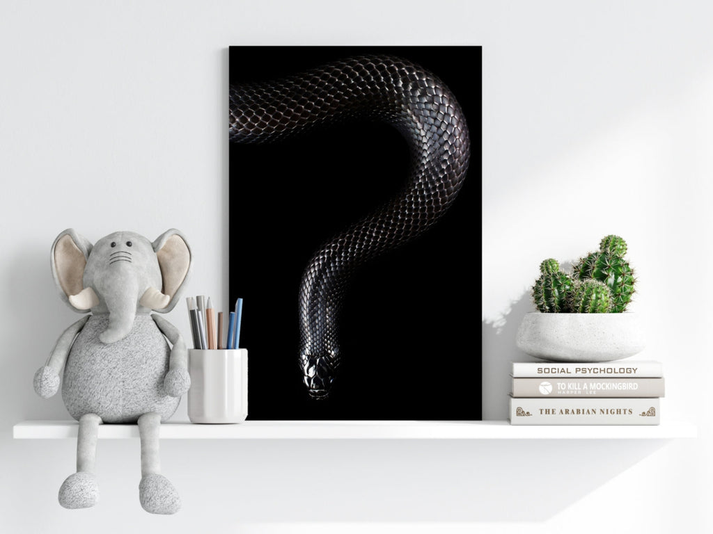 Black Snake Aluminum Print