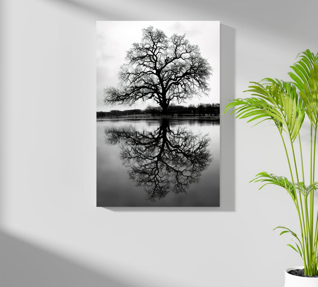 Alone Tree Aluminum Print