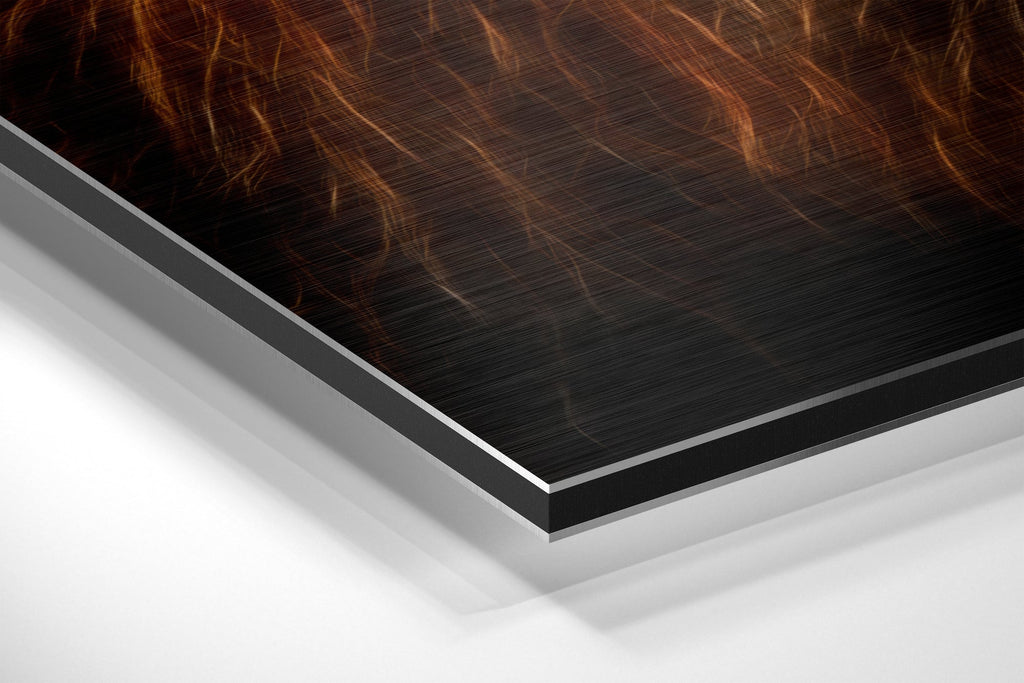 Lion Brushed Aluminium Dibond Wall Art
