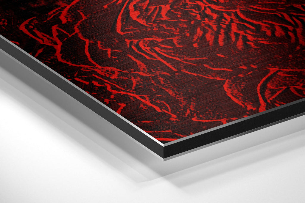 Abstract Roses Brushed Aluminium Dibond Wall Art