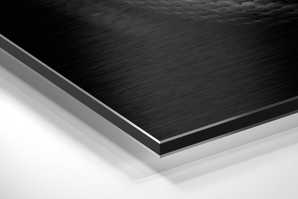 Snake Brushed Aluminium Dibond Wall Art