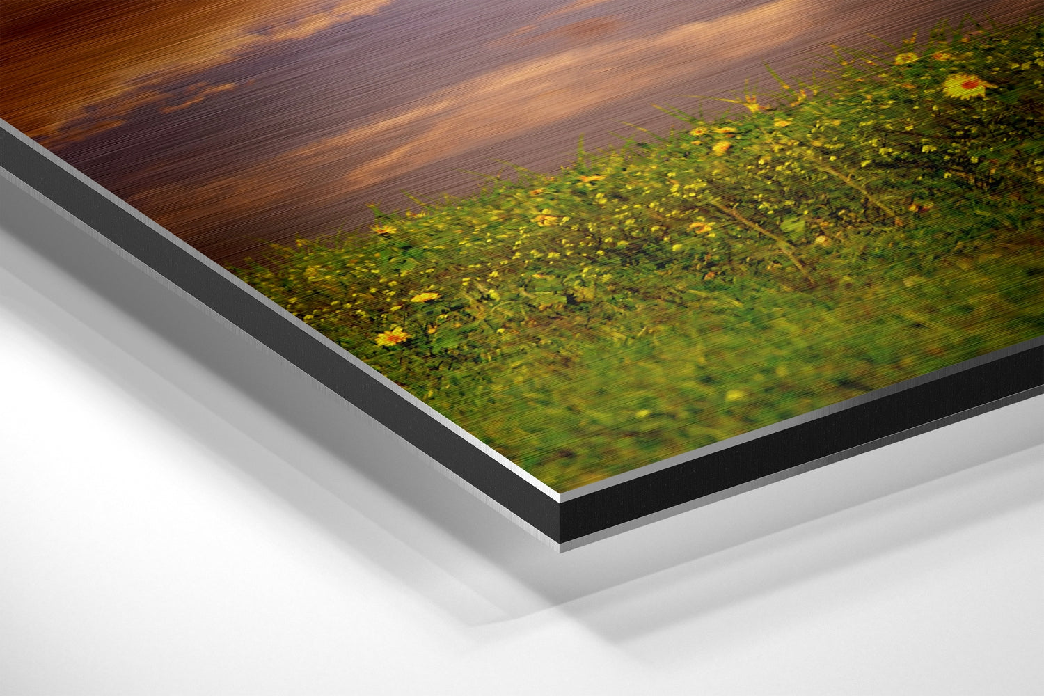 Horse Brushed Aluminium Dibond Wall Art