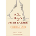 A Pocket History of Human Evolution: How We Became Sapiens - Paperback