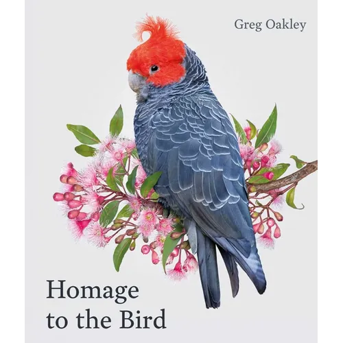 Homage to the Bird - Hardcover