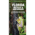 Florida Reptiles & Amphibians: A Folding Pocket Guide to Familiar Species of Florida & the Everglades - Paperback