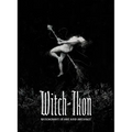 Witch-Ikon: Witchcraft in Art and Artifact - Paperback
