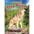 Gray Wolves - Library Binding