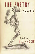 The Poetry Lesson - Paperback