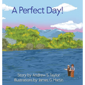 A Perfect Day! - Hardcover