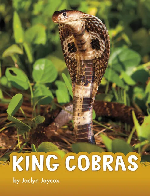 King Cobras - Hardcover