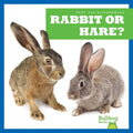 Rabbit or Hare? - Library Binding