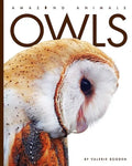 Owls - Paperback