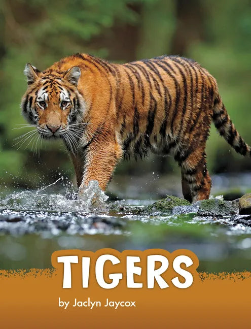 Tigers - Hardcover