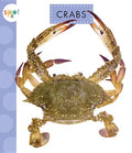 Crabs - Paperback
